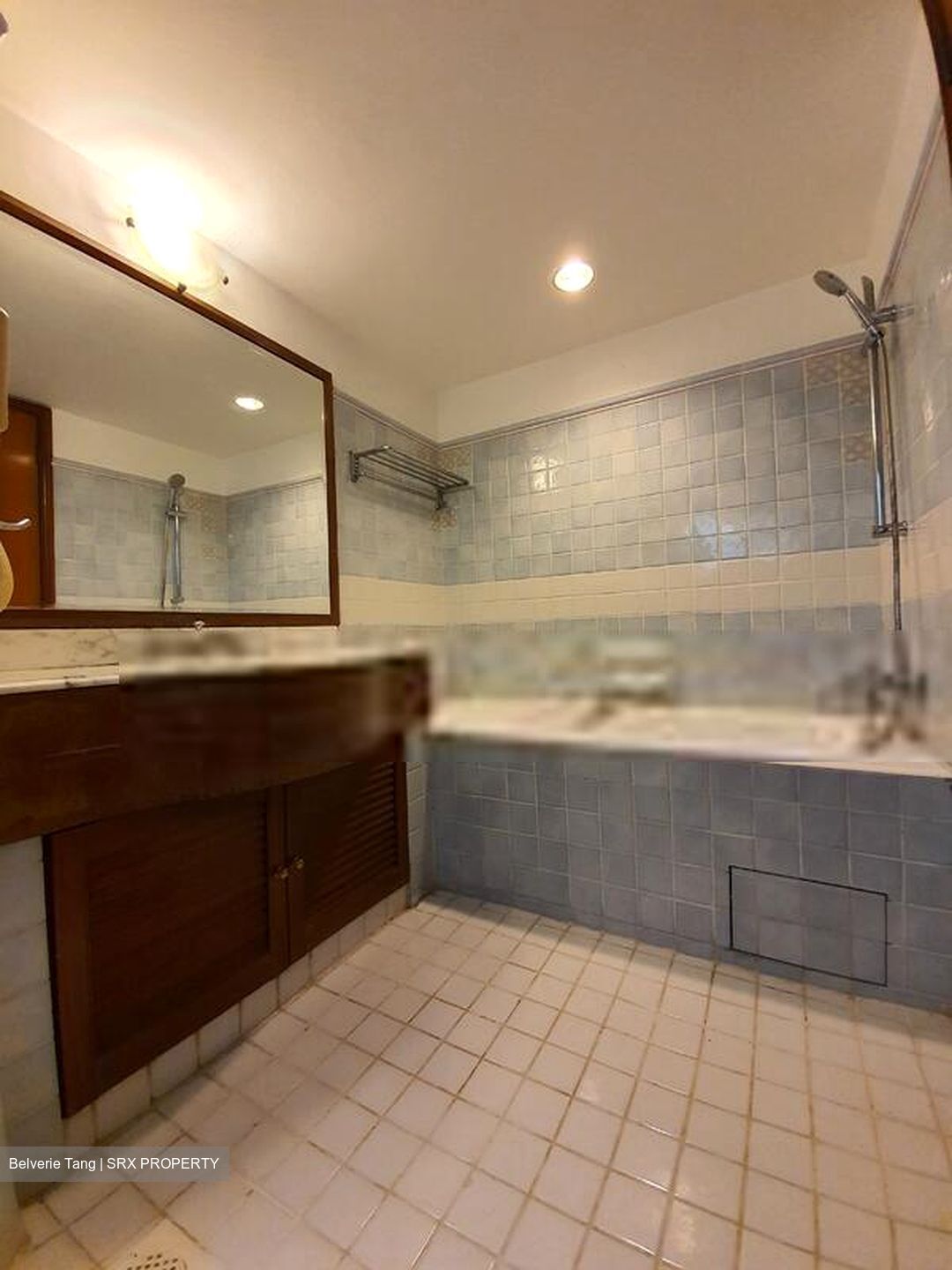 Cavenagh Lodge (D9), Apartment #412417051
